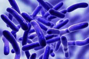 Advanced Clean Trucks policy